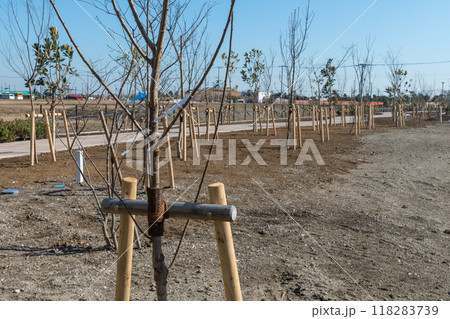 宅地開発 宅地開発 118283739
