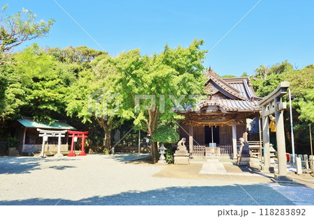 新緑に包まれた小動神社の境内 118283892