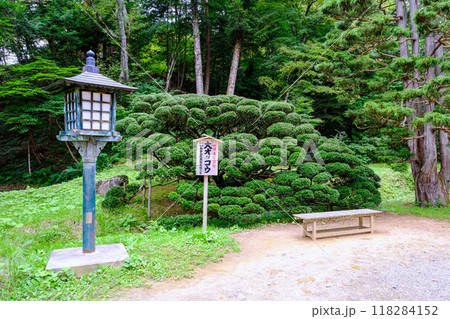 達谷窟毘沙門堂の大オッコウ 118284152