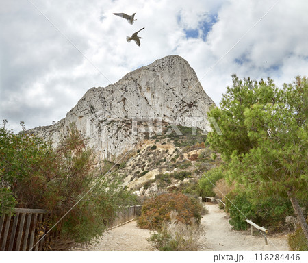 Majestic Coastal Cliff Towering Against Azure Sky Two Seagulls Soaring Amidst Lush Trees Perfect Sunny Day Nature Tourism. Rock formation under a clear blue sky with two seagulls flying over lush 118284446