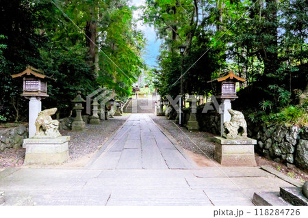 鹽竈神社東参道と狛犬 鹽竈神社東参道と狛犬 118284726