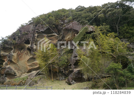 虫喰岩 虫喰岩 118284839