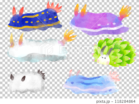 Illustrations of various sea slugs, hand-drawn, watercolor style Illustrations of various sea slugs, hand-drawn, watercolor style 118284864