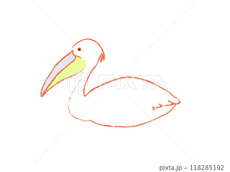 水彩で描いたモモイロペリカン 118285192