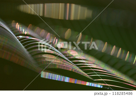 朝日を浴びて虹色に輝くクモの巣　クローズアップ 118285486