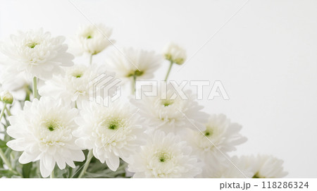 お供えの花　白菊 118286324