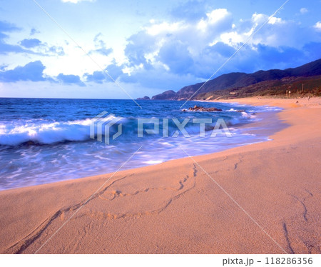 「世界自然遺産」屋久島、永田いなか浜の夕景色「屋久島国立公園」 118286356