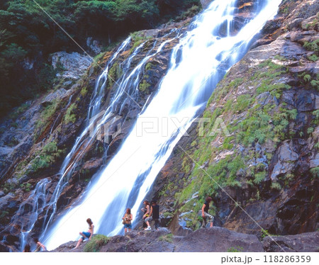 「世界自然遺産」屋久島、大川の滝（おおこのたき）/日本の滝百選」/落差88m//日 118286359