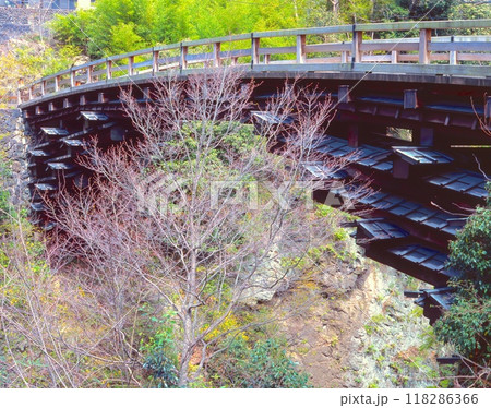 甲州街道にある「猿橋」と新緑/日本三奇橋/国指定名勝 118286366