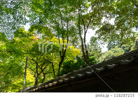 書写山　円教寺 118287215