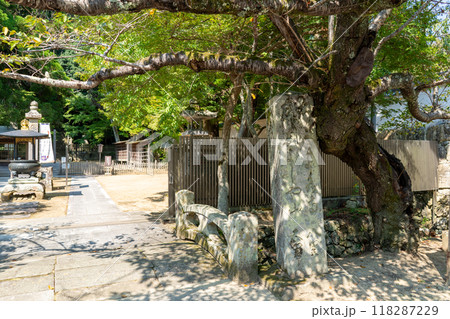 書写山　円教寺 118287229