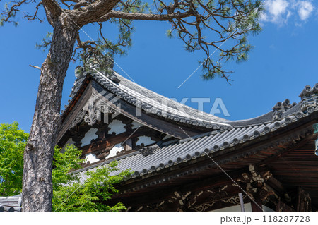 紫雲山 葛井寺 紫雲山 葛井寺 118287728