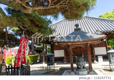 紫雲山 葛井寺 紫雲山 葛井寺 118287731