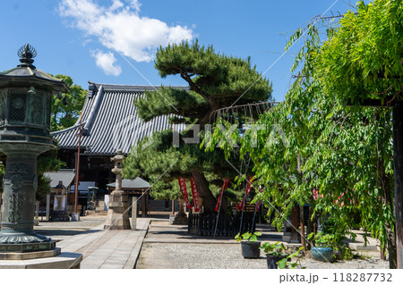 紫雲山 葛井寺 紫雲山 葛井寺 118287732