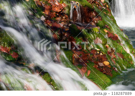 秋の信州　おしどり隠しの滝 118287889