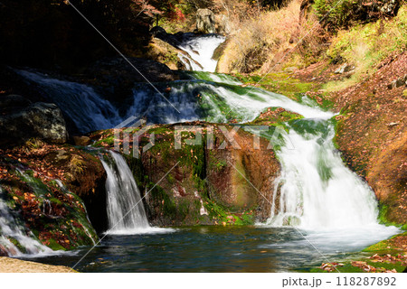 秋の信州　おしどり隠しの滝 118287892