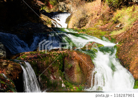 秋の信州 おしどり隠しの滝 秋の信州 おしどり隠しの滝 118287901