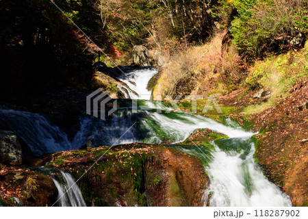 秋の信州　おしどり隠しの滝 118287902