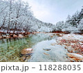 川と雪化粧した樹木 118288035