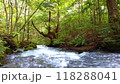 新緑と川の流れ 118288041