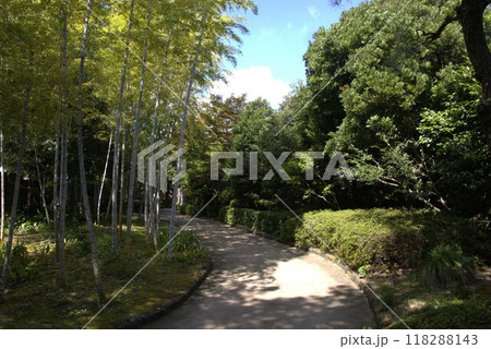 丈山苑 九月 日本庭園 丈山苑 九月 日本庭園 118288143