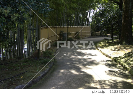 丈山苑　九月　日本庭園 118288149