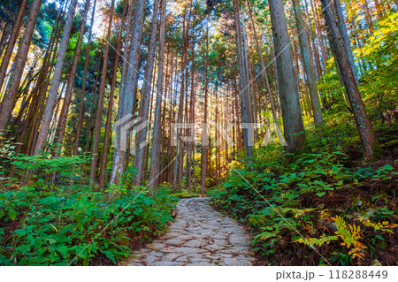 妻籠宿～馬籠宿トレイル（秋） 118288449