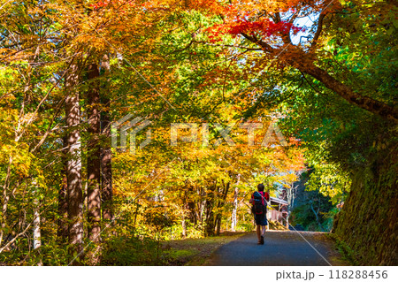 妻籠宿～馬籠宿トレイル（秋） 118288456
