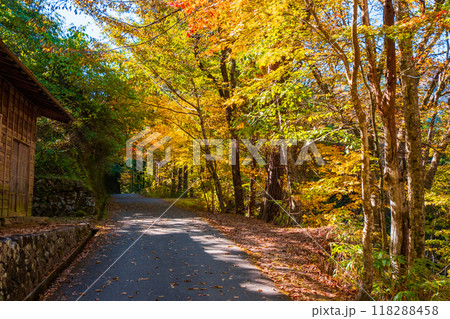 妻籠宿~馬籠宿トレイル(秋) 妻籠宿~馬籠宿トレイル(秋) 118288458