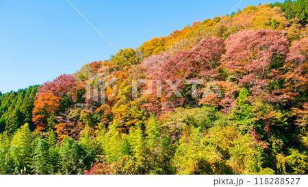 妻籠宿～馬籠宿トレイル（秋） 118288527