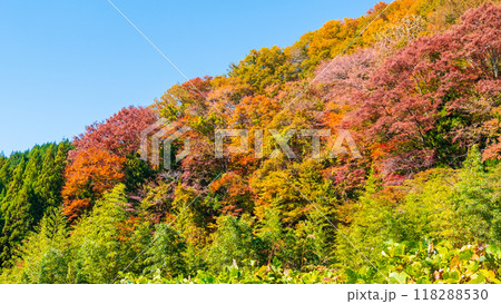 妻籠宿～馬籠宿トレイル（秋） 118288530