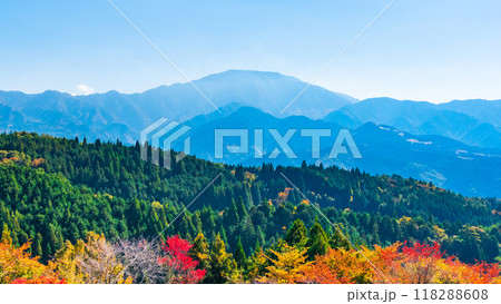 妻籠宿～馬籠宿トレイル（秋）：恵那山を望む 118288608