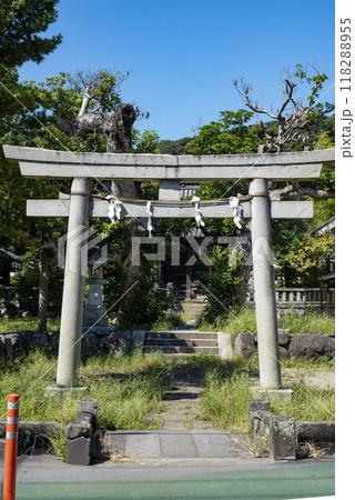 鎌倉249　八坂大神1　鳥居　 118288955
