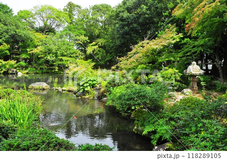静岡県三島市　佐野美術館の回遊式庭園心字池 118289105
