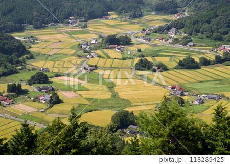 黄金色の棚田　高台から見下ろした比和三河内の棚田 118289425