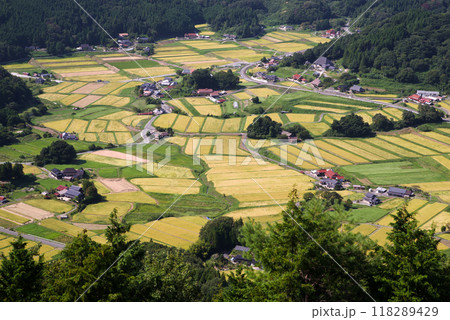 黄金色の棚田　高台から見下ろした比和三河内の棚田 118289429