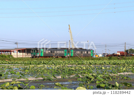 ［T］高徳線1200形気動車（高松-板野⇔高松） 118289442