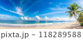 tropical beach with coconut palm tree 118289588
