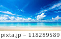 tropical beach at sunrise 118289589