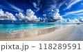 beautiful tropical beach sea and ocean with cloud 118289591