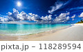 beautiful tropical beach sea and ocean with coconut palm tree on blue sky and white cloud 118289594