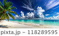 tropical beach with coconut palm tree 118289595
