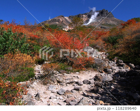 姥ヶ平･那須茶臼岳を望むハイキングコース 118289640
