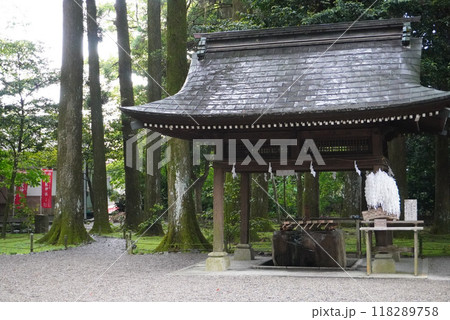 宮崎県都農神社の緑に囲まれた手水舎 宮崎県都農神社の緑に囲まれた手水舎 118289758