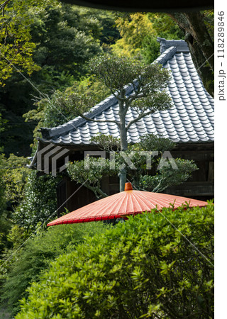 鎌倉249 海蔵寺14 野点傘 鎌倉249 海蔵寺14 野点傘 118289846