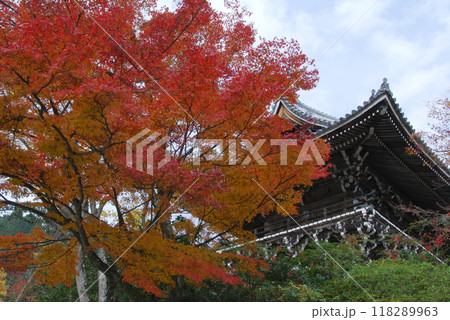 Autumn leaves @Kyoto / 紅葉が見頃の京都の古刹寺院(西方善峯寺) 118289963