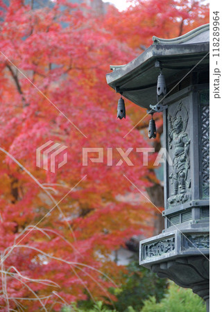 Autumn leaves @Kyoto / 紅葉が見頃の京都の古刹寺院(西方善峯寺) 118289964
