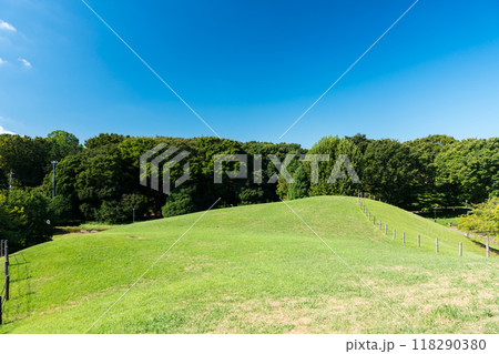 神代植物公園自由広場となりのお山(大体育室上)の頂上から見下ろす 夏晴れの青空 東京都調布市深大寺 神代植物公園自由広場となりのお山(大体育室上)の頂上から見下ろす 夏晴れの青空 東京都調布市深大寺 118290380