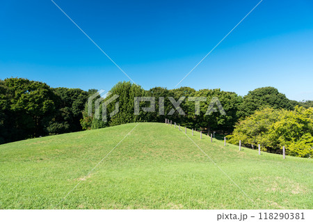 神代植物公園自由広場となりのお山（大体育室上）で遊ぶ　夏晴れの青空　東京都調布市深大寺 118290381