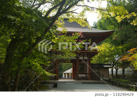 女人高野・室生寺(仁王門) 【奈良県宇陀市室生】 女人高野・室生寺(仁王門) 【奈良県宇陀市室生】 118290429